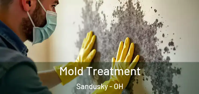 Mold Treatment Sandusky - OH