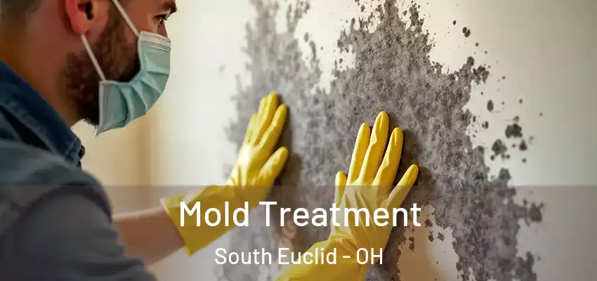  Mold Treatment South Euclid - OH
