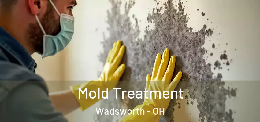  Mold Treatment Wadsworth - OH