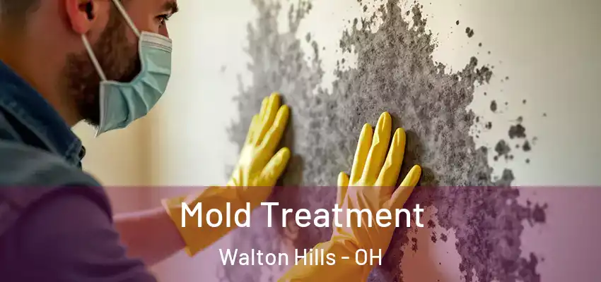  Mold Treatment Walton Hills - OH