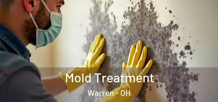 Mold Treatment Warren - OH