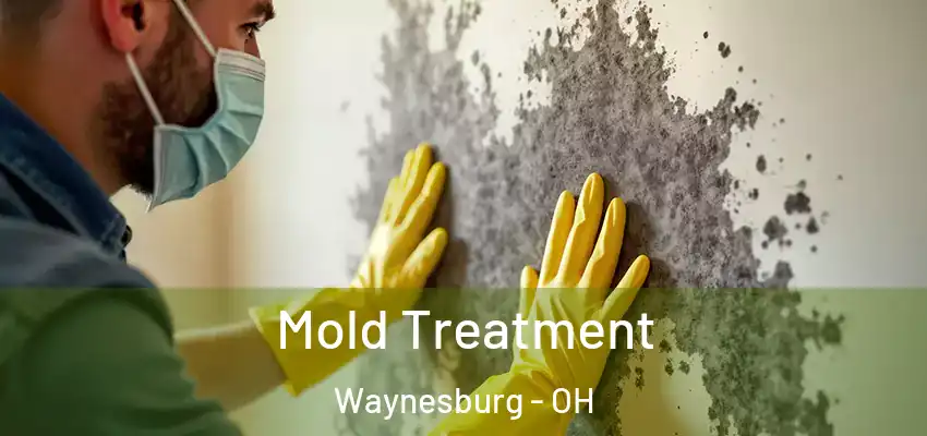 Mold Treatment Waynesburg - OH