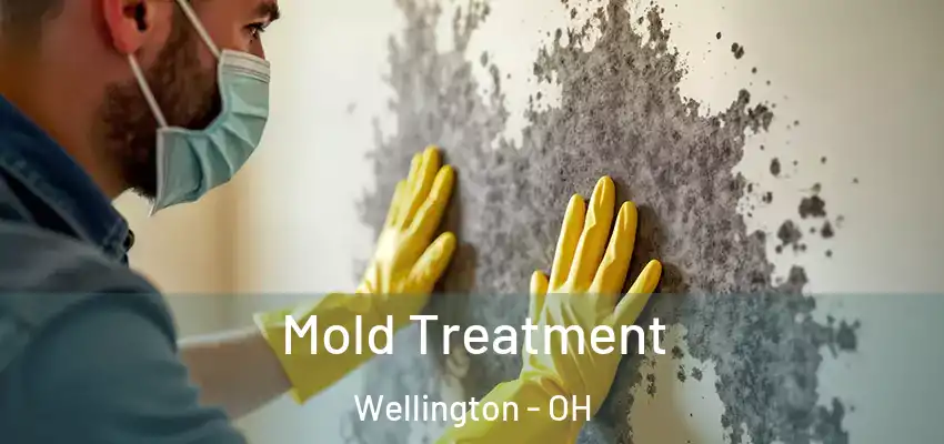 Mold Treatment Wellington - OH
