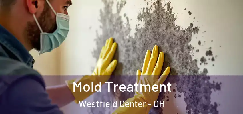 Mold Treatment Westfield Center - OH