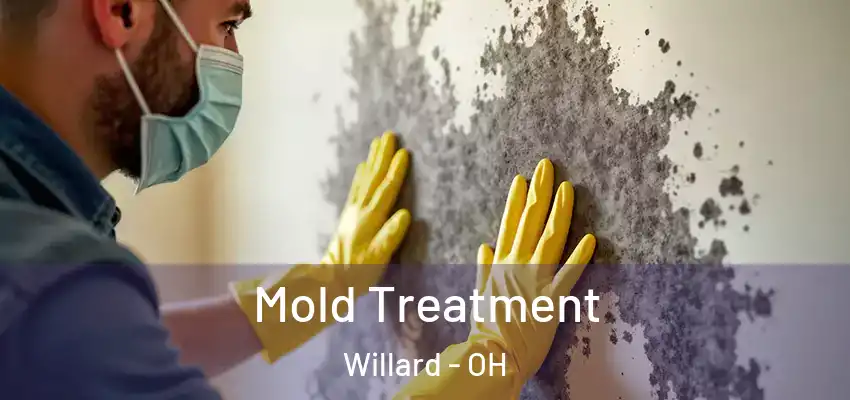 Mold Treatment Willard - OH