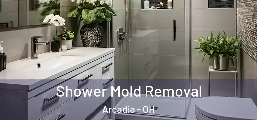  Shower Mold Removal Arcadia - OH