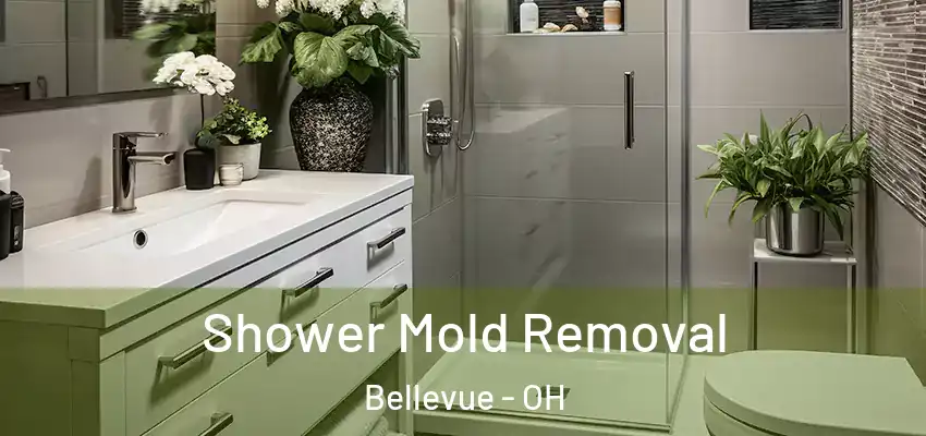Shower Mold Removal Bellevue - OH