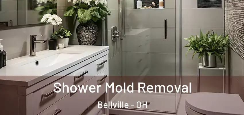 Shower Mold Removal Bellville - OH