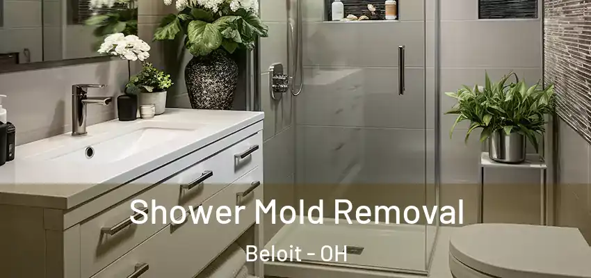 Shower Mold Removal Beloit - OH