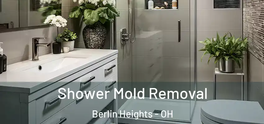  Shower Mold Removal Berlin Heights - OH