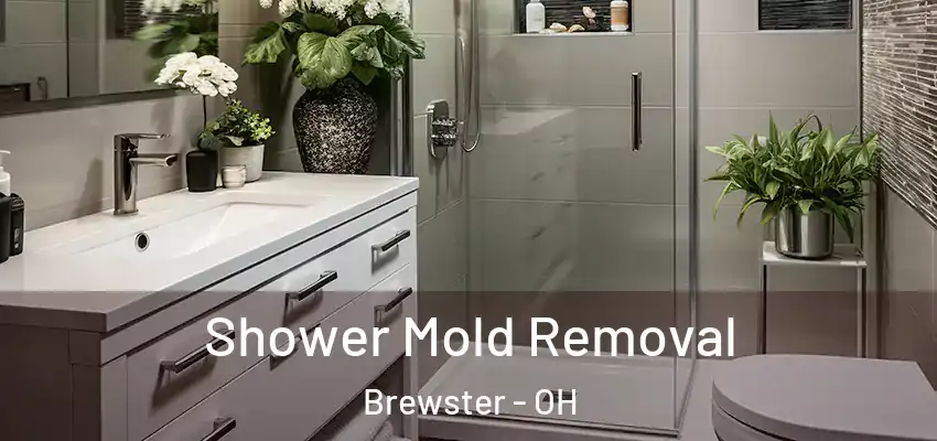 Shower Mold Removal Brewster - OH
