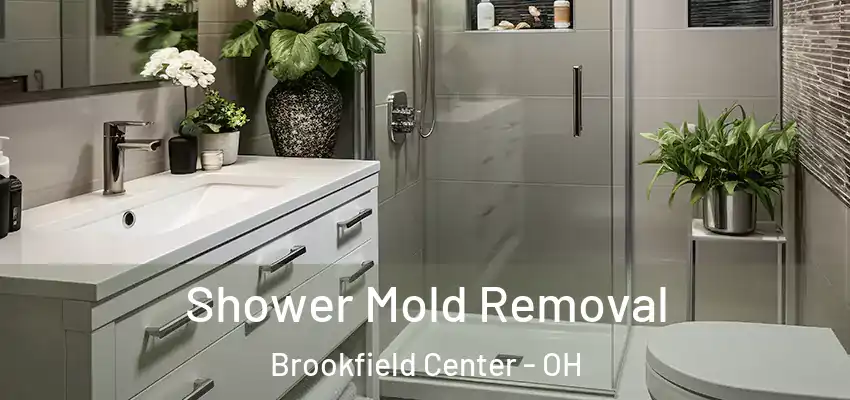  Shower Mold Removal Brookfield Center - OH