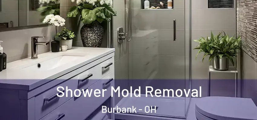 Shower Mold Removal Burbank - OH