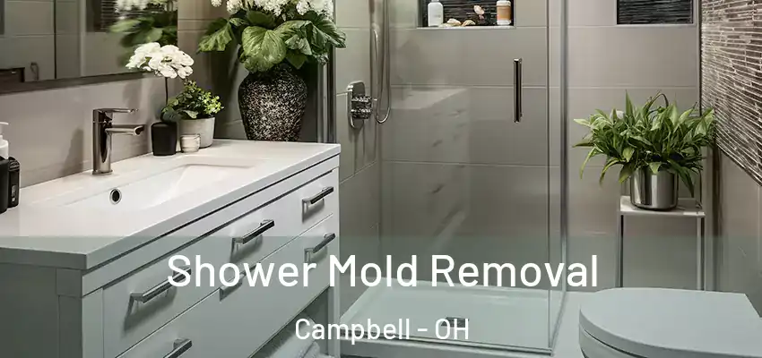 Shower Mold Removal Campbell - OH