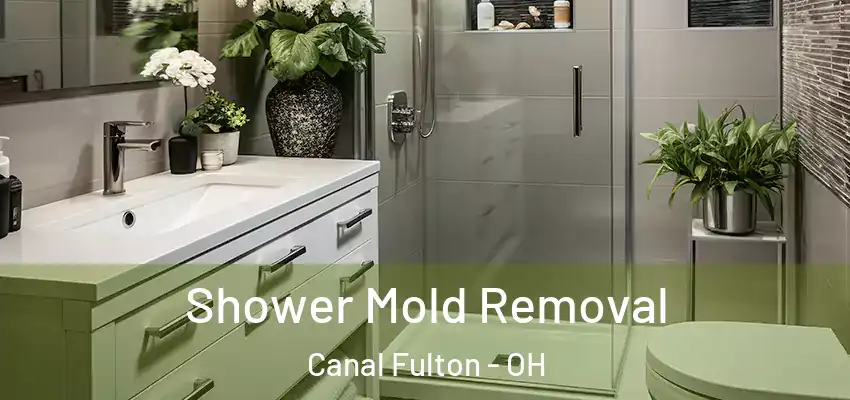 Shower Mold Removal Canal Fulton - OH