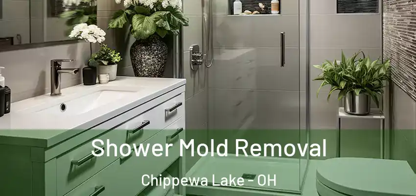 Shower Mold Removal Chippewa Lake - OH