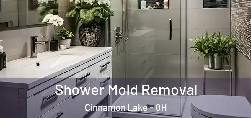 Shower Mold Removal Cinnamon Lake - OH