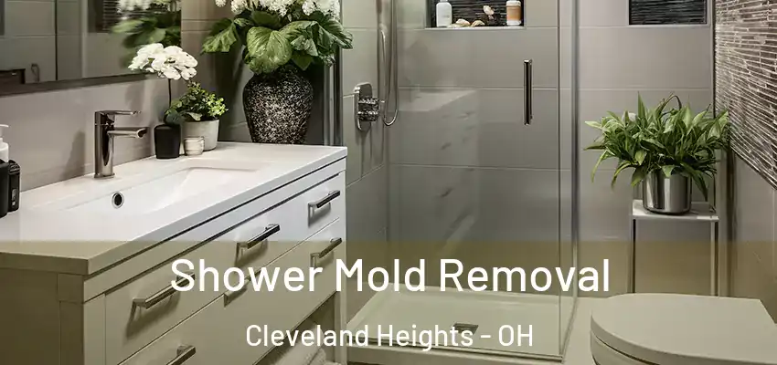  Shower Mold Removal Cleveland Heights - OH
