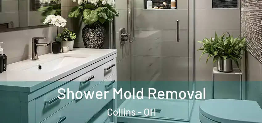 Shower Mold Removal Collins - OH