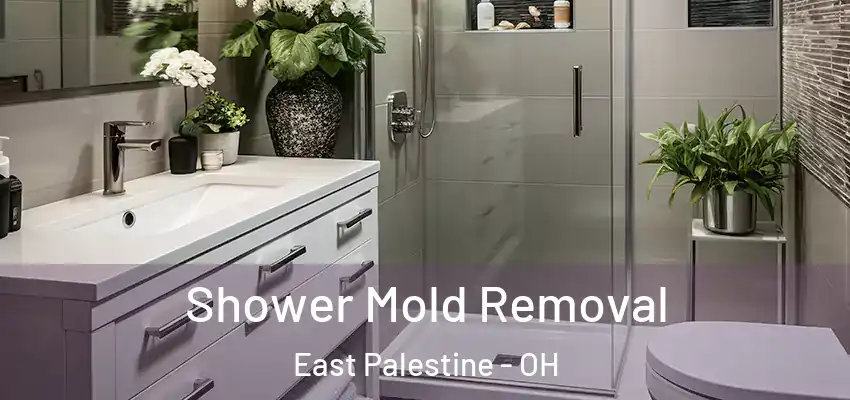  Shower Mold Removal East Palestine - OH