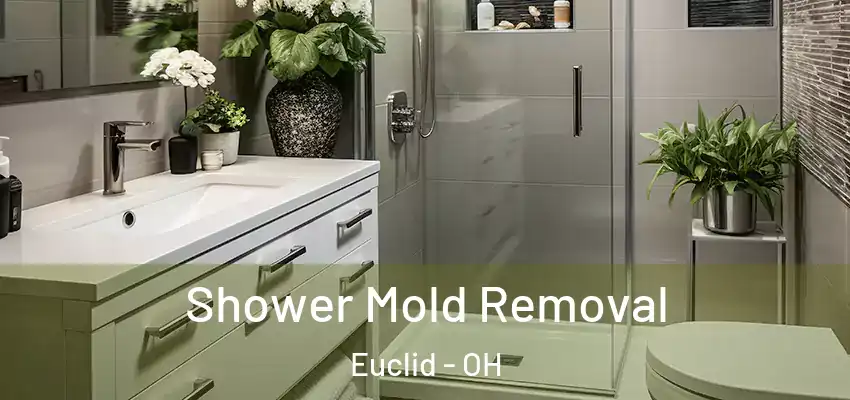 Shower Mold Removal Euclid - OH