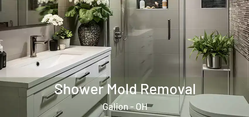 Shower Mold Removal Galion - OH