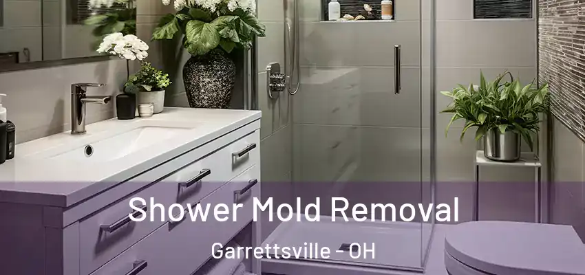  Shower Mold Removal Garrettsville - OH