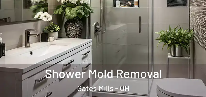 Shower Mold Removal Gates Mills - OH