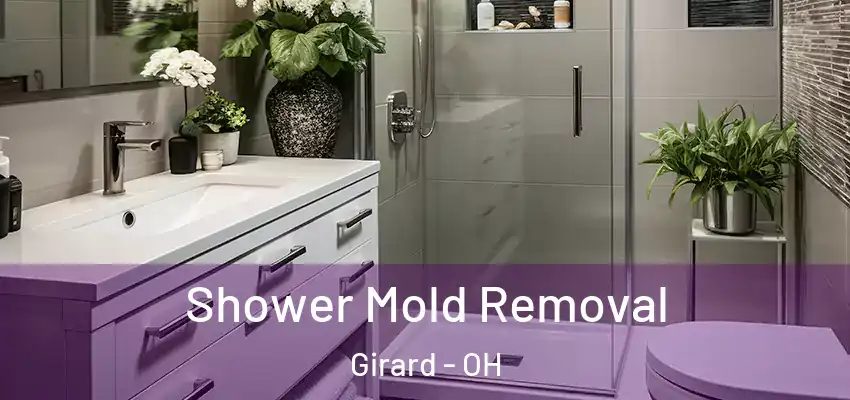 Shower Mold Removal Girard - OH