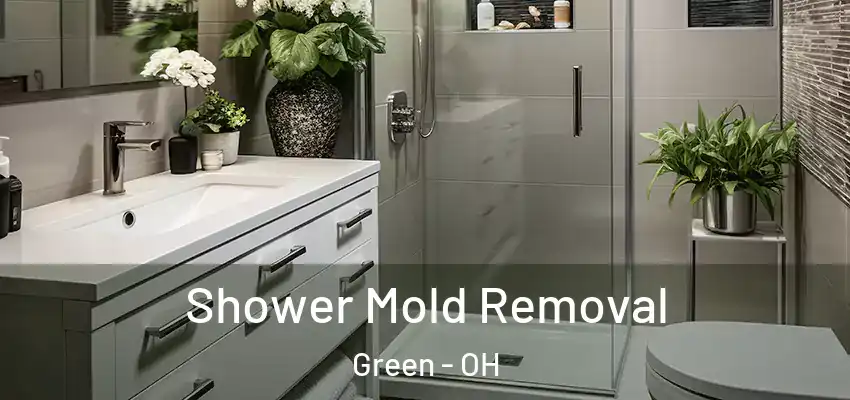 Shower Mold Removal Green - OH