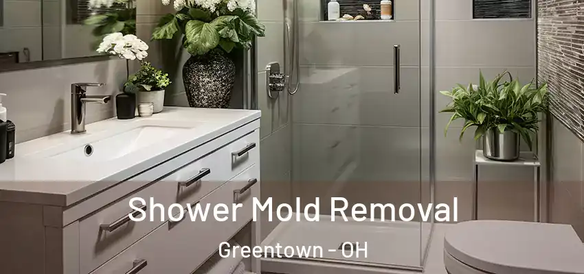 Shower Mold Removal Greentown - OH