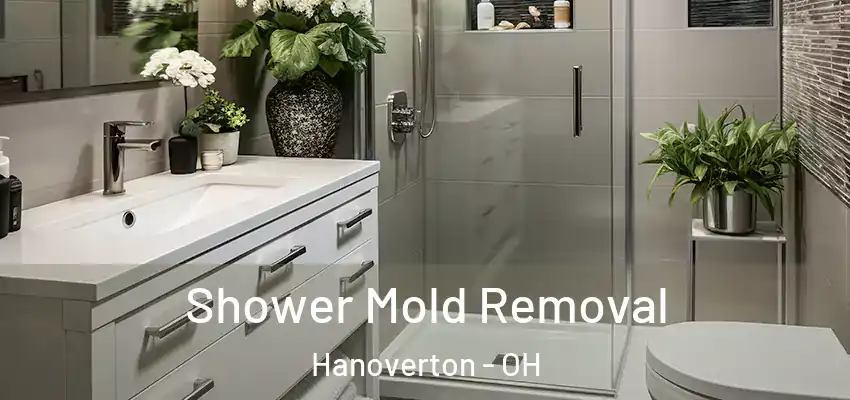 Shower Mold Removal Hanoverton - OH