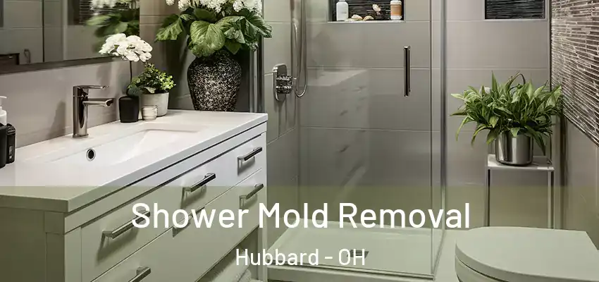 Shower Mold Removal Hubbard - OH