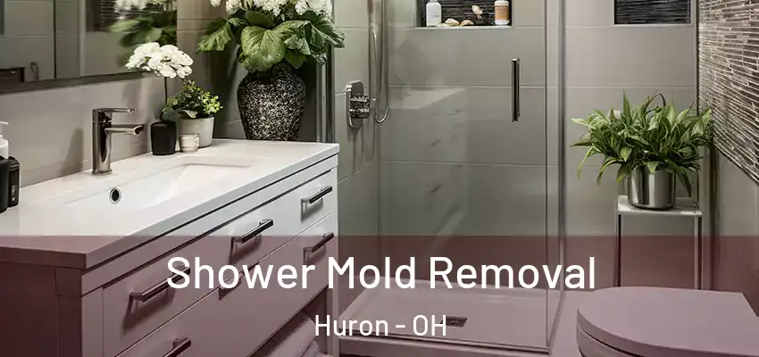  Shower Mold Removal Huron - OH