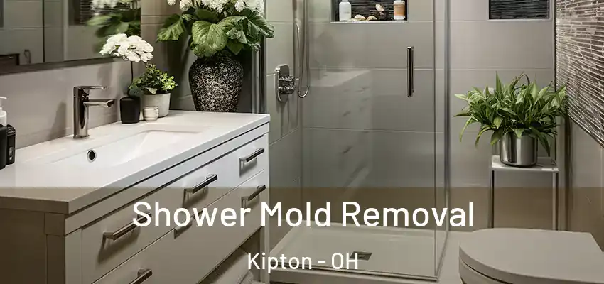 Shower Mold Removal Kipton - OH