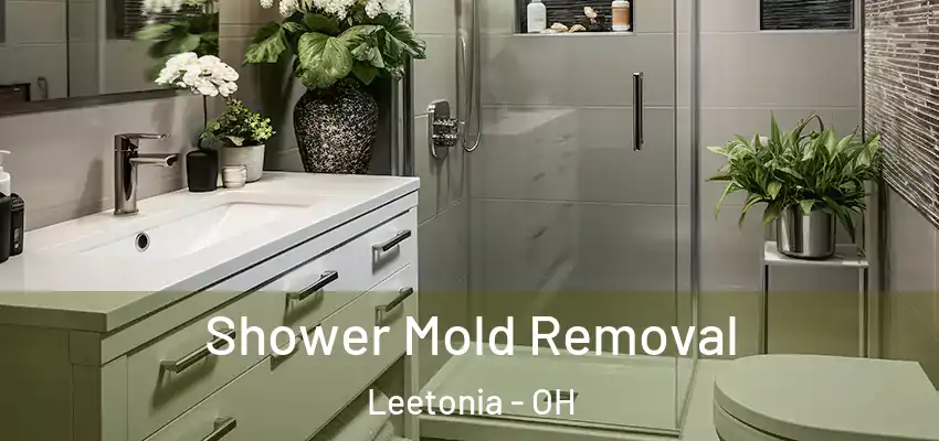 Shower Mold Removal Leetonia - OH