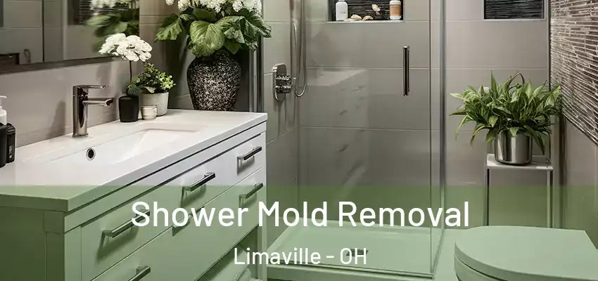 Shower Mold Removal Limaville - OH