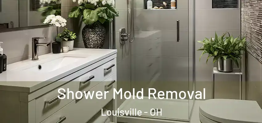 Shower Mold Removal Louisville - OH