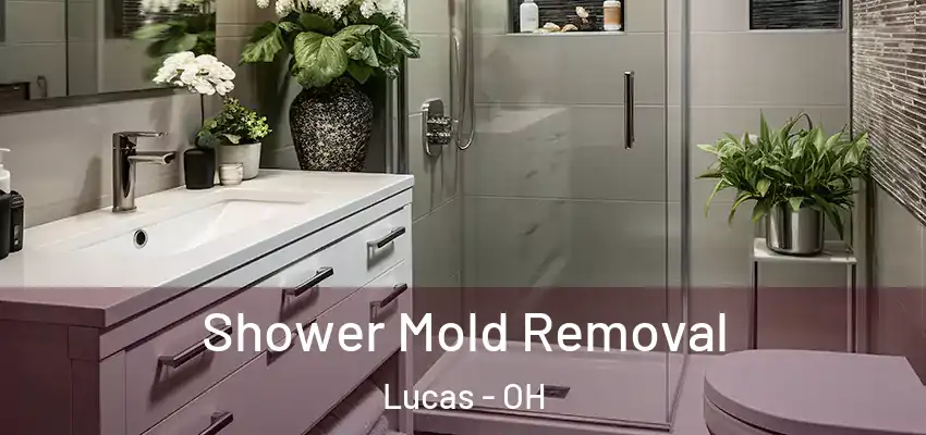 Shower Mold Removal Lucas - OH