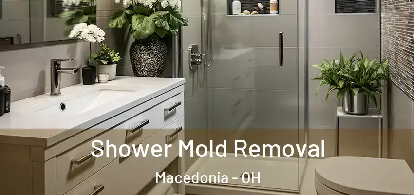 Shower Mold Removal Macedonia - OH