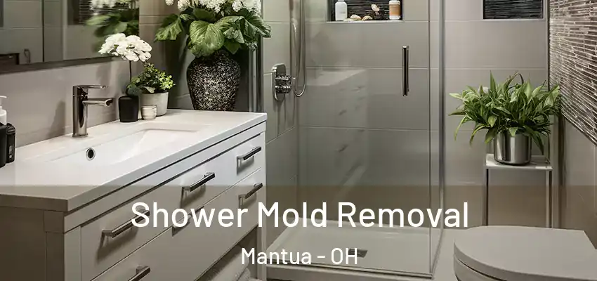 Shower Mold Removal Mantua - OH