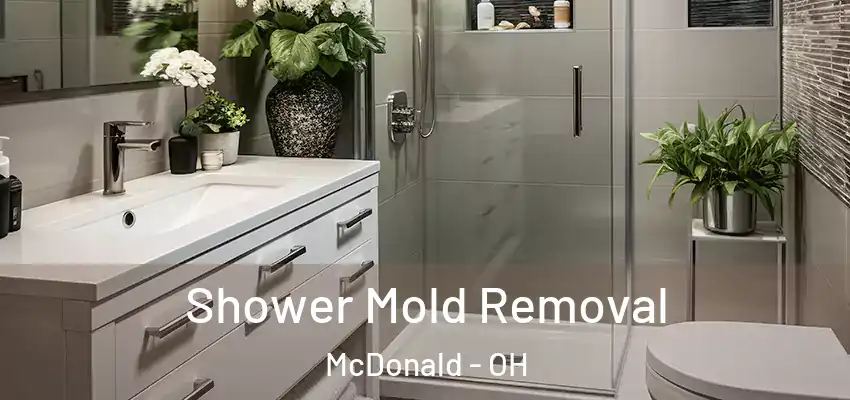 Shower Mold Removal McDonald - OH