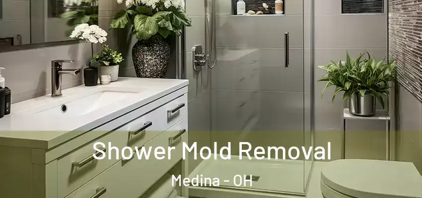 Shower Mold Removal Medina - OH