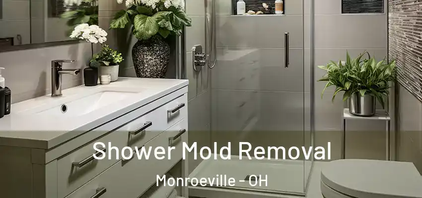 Shower Mold Removal Monroeville - OH
