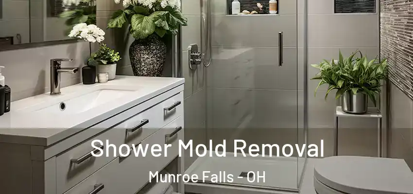 Shower Mold Removal Munroe Falls - OH