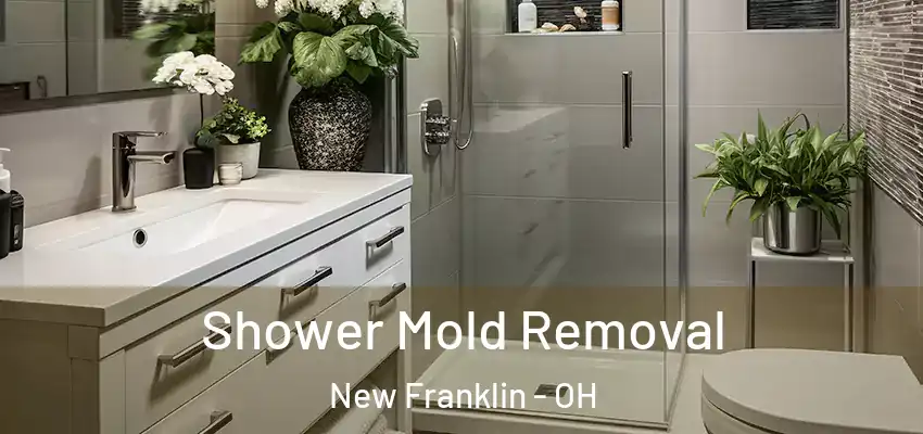 Shower Mold Removal New Franklin - OH
