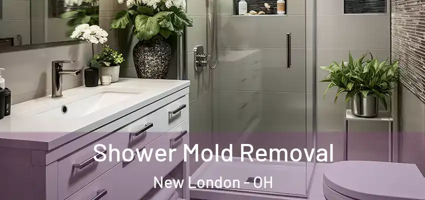  Shower Mold Removal New London - OH