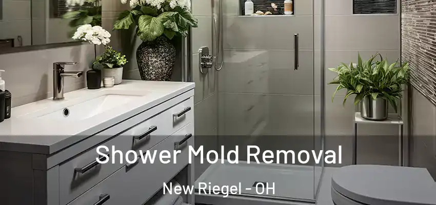 Shower Mold Removal New Riegel - OH