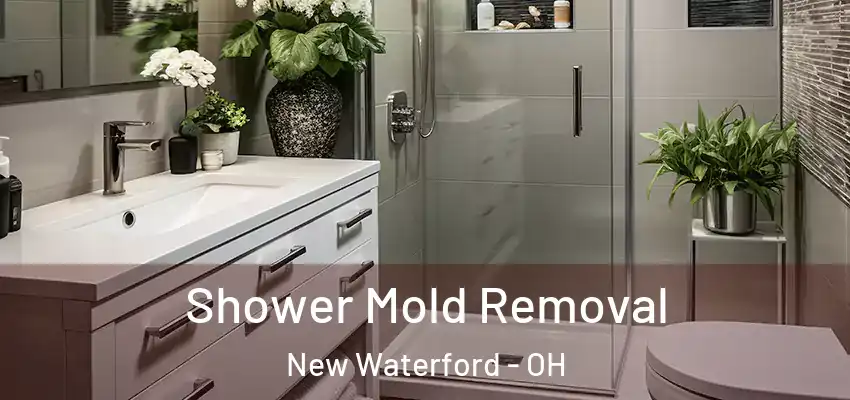  Shower Mold Removal New Waterford - OH