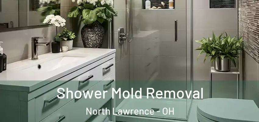 Shower Mold Removal North Lawrence - OH